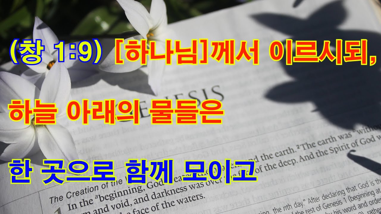 창세기 - 하나님께서는 궁창 아래 물들을 어떻게 한곳으로 모으신걸까? - YouTube
