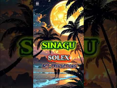SINAGU- SOLEX