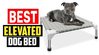 ✅Top 5  Best Elevated Dog Bed in 2024