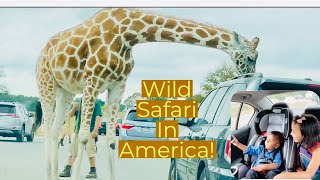 Six Flags Wild Safari Drive-Thru Adventure | Safari in America I Six Flags Safari Tour in Sep 2020