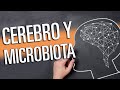 ¿Qué conexión tienen EL CEREBRO y LA MICROBIOTA?.