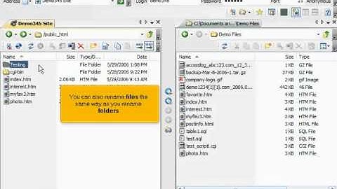 Managing Files in Smart FTP