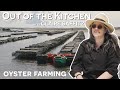 OYSTER FARM TOUR WITH CLAIRE SAFFITZ | OUT OF THE KITCHEN