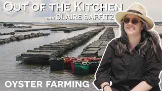 OYSTER FARM TOUR WITH CLAIRE SAFFITZ | OUT OF THE KITCHEN