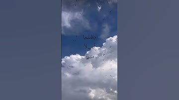 سوره : التوبه | آيه 118 تلاوه تريح القلب #اكسبلور #المصحف