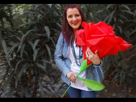 Ramos Grandes De Flores #1: Hqdefault.jpg Ramos Grandes De Flores #1: Hqdefault.jpg
