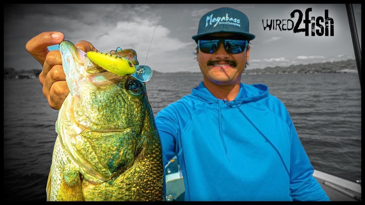 4 Finesse Crankbaits Tips to Catch More Bass | Zaldain's System