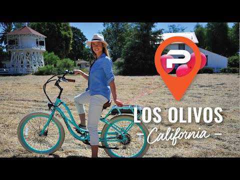 electric-bike-rentals-&-tours---los-olivos,-california-|-pedego-los-olivos