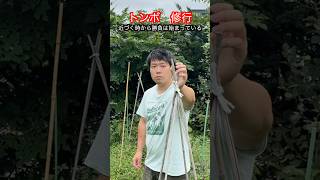 【武道・武術】トンボを捕まえることは修行になる!?武術的観点で解説!! #aikido #karate #martial #武道 #空手#合気道#筋トレ#selfdefens