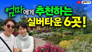 우리 엄마 노후에 어디에서 살면 좋을까? 엄마 추천 실버타운 1위부터 6위까지! (여성 시니어 살기 좋은 실버타운 순위 Top 6)