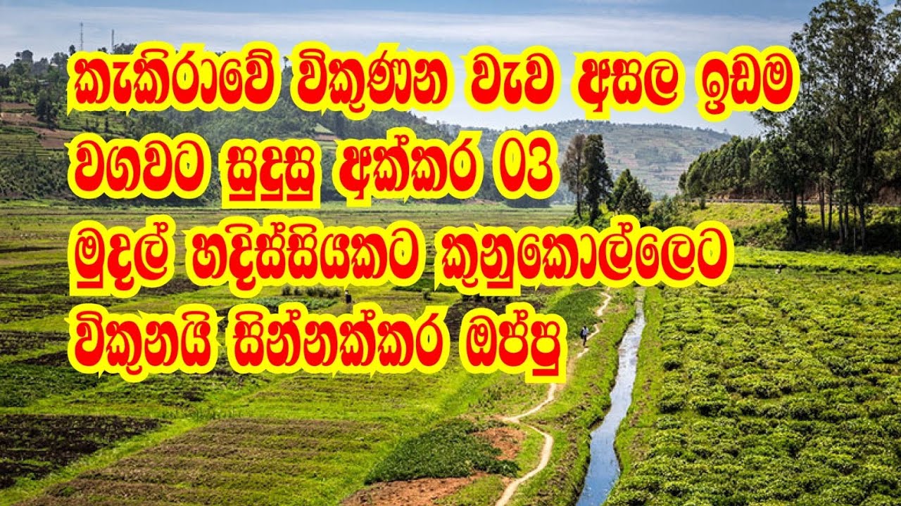 land sale land sale in sri lanka agriculture land for sale in sri