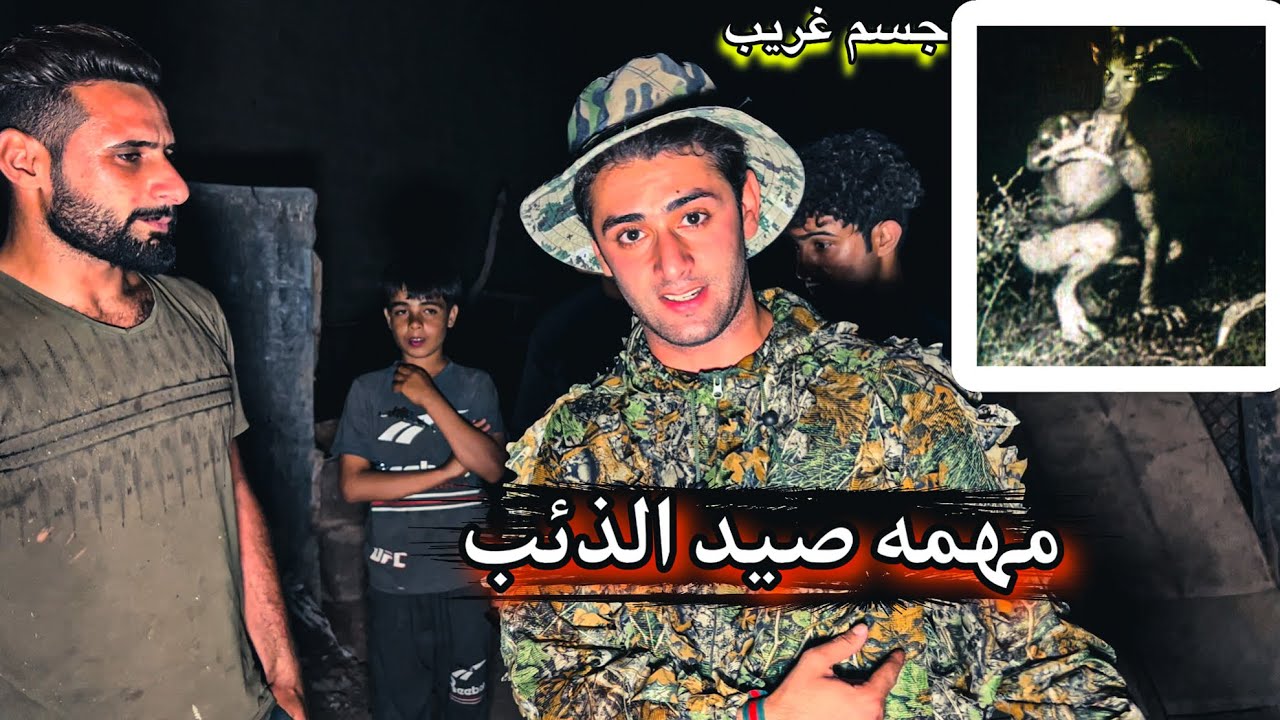 ذئب يهجم على قطيع من الخرفان _  رحله لصيد الذئب البري _ مغامره قويه جداً