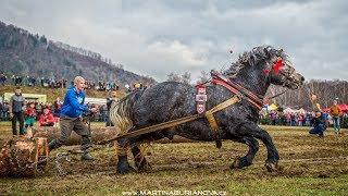 Furmanské preteky (Kľačianska podkova 2018)