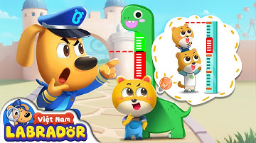 Chơi trong công viên an toàn | Hoạt hình cảnh sát trưởng | Hoạt hình thiếu nhi | BabyBus