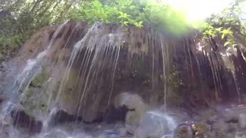 Ro Tanam