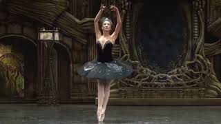 Ekaterina Shipulina Odile Variation Swan Lake