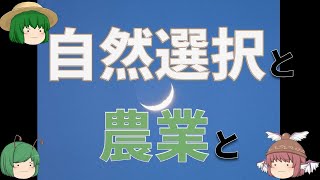 【ゆっくり解説】自然選択と農業と