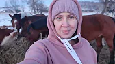 Семья Фетистовых