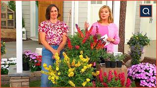Gardening Made Easy by Cottage Farms | QVC screenshot 1