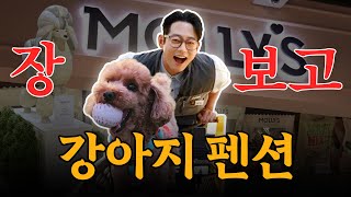 테이는… 댕댕이 사료를 남기GO🐩🛒💨ㅣ장!보고드립니다 EP.4