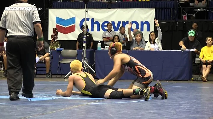 ScoringLive: HHSAA Wrestling Championships - Boys ...