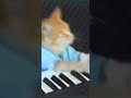 rip keyboard cat