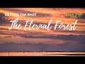 The Eternal Forest | SafariLife S1E22