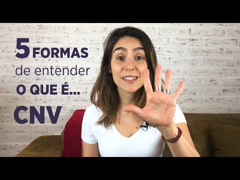 Vídeo: Comunicação Sem Brigas. Técnica