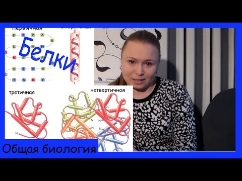 Химический состав клетки. Белки.