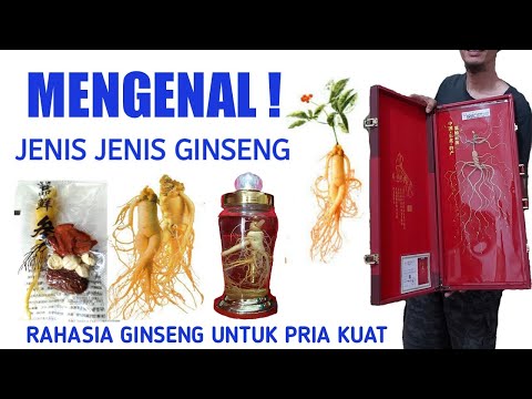 Video: Apa perbedaan antara ginseng Asia dan ginseng Korea?