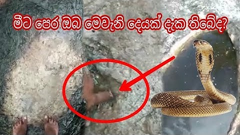 මෙතන දැවැන්ත නිධානයක් තියෙනවලු | nidan wasthu | nidan salakunu | #nidan - #Yakkula Rawana