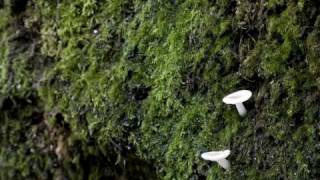 Bilger's Rocks - Photo Essay