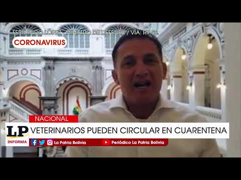 Ministro de Defensa anuncia que veterinarios podrán circular en cuarentena