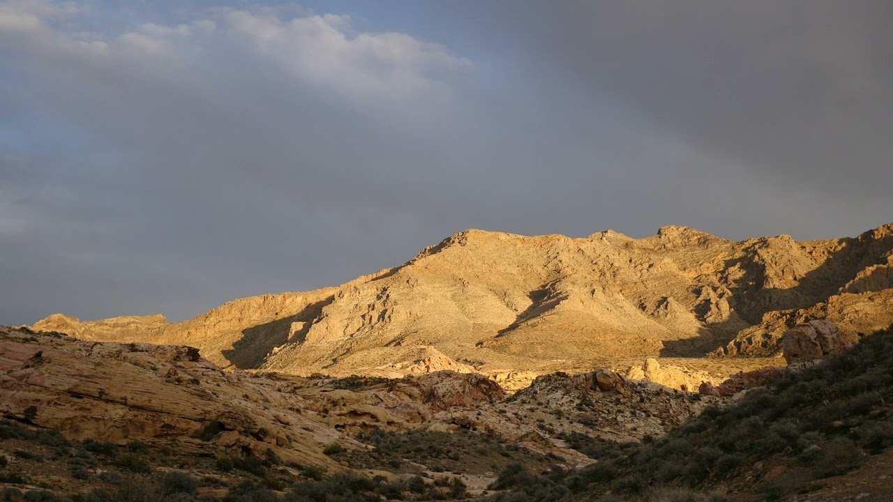 zen and near cockpit 06