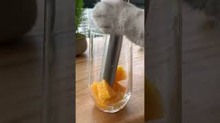 Meow Lemonade food howtomakechickenchangezi chickendrumstick