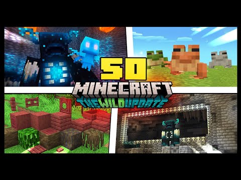 Vídeo: Você precisa de nso para minecraft?