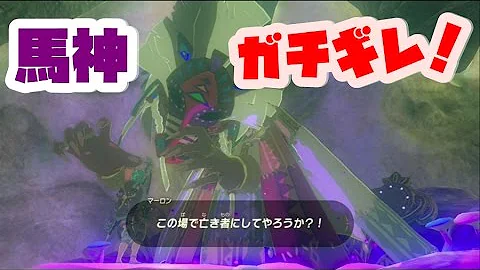 ゼル伝 馬