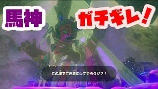 ゼルダの伝説 馬神を本気でキレさせよう 愛馬を惨殺するとマーロンはどうなる ブレスオブザワイルド Naotin Youtube