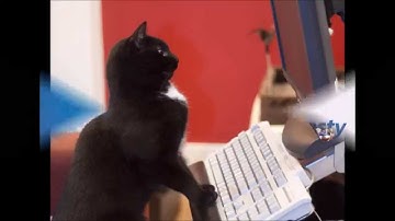 IMBRA, Dating Sites Should Prove Identity of Foreign Members.