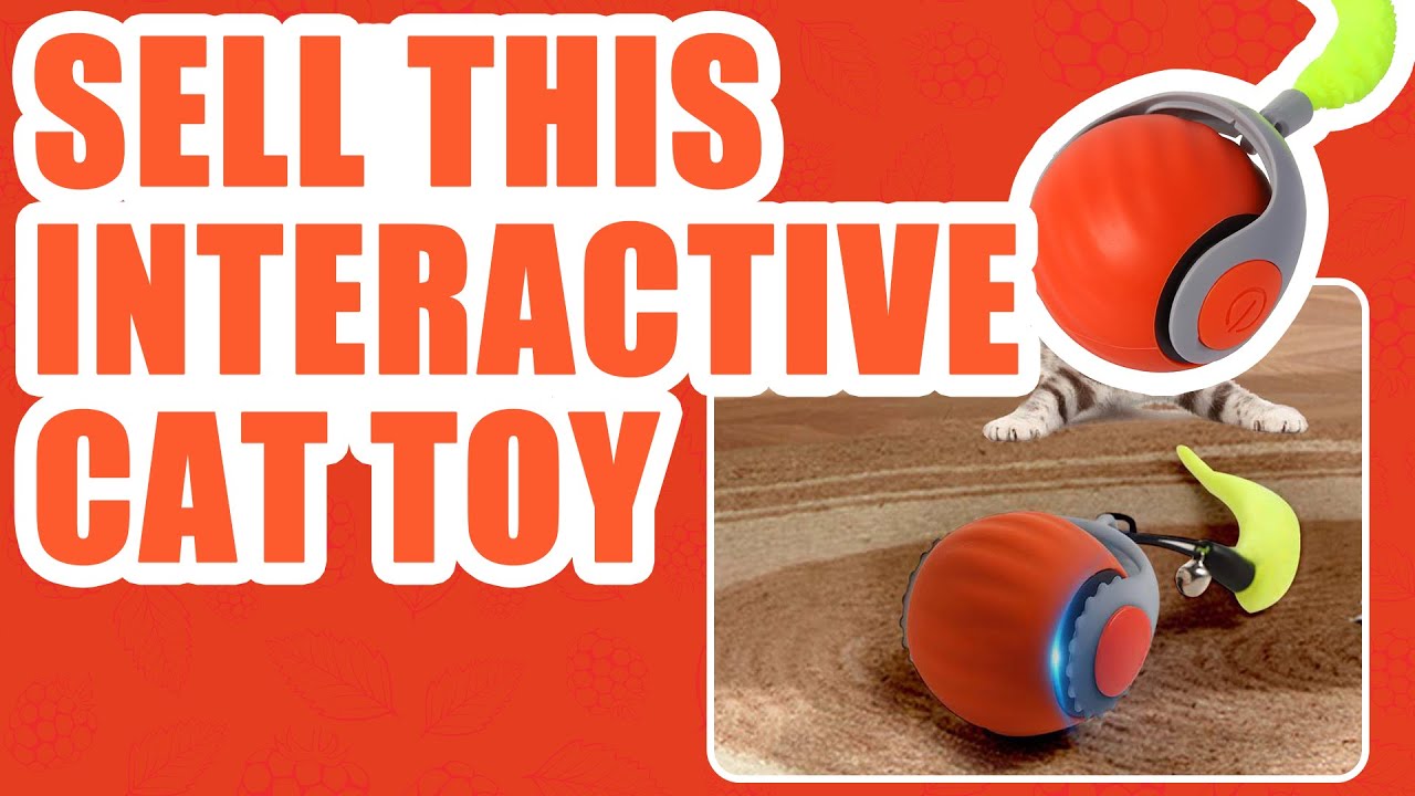 Unstoppable Fun: Rechargeable Gravity Cat Toy That Drives Cats Crazy!