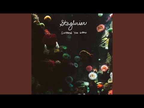 Stagbriar — Bought the Rights