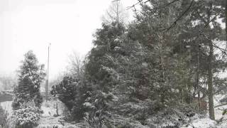 December 5th 2012
