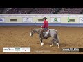 اسب گاو کارگر ارشد نمایش قهرمانی جهانی AQHA 2024 