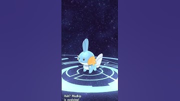 Mudkip Evolves into Marshtomp Pokemon Masters EX #shorts