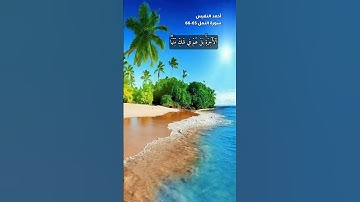 سورة النمل ح65-66