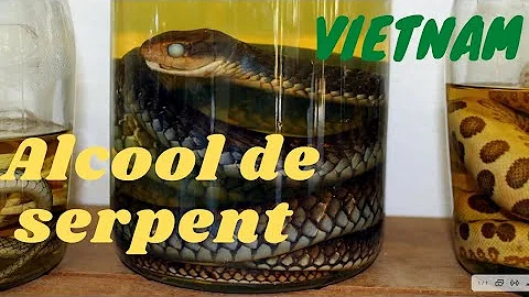 Pourquoi mettre un serpent dans une bouteille d'alcool ?