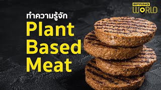 ทำความรู้จัก Plant Based Meat l STORY OF WORLD