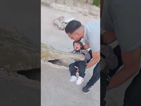 بابا عميخلص زين من التمساح نت ضعيف مجودي رانو هوم ريتشو ننوش نارينبيوتي كامري تمساح  