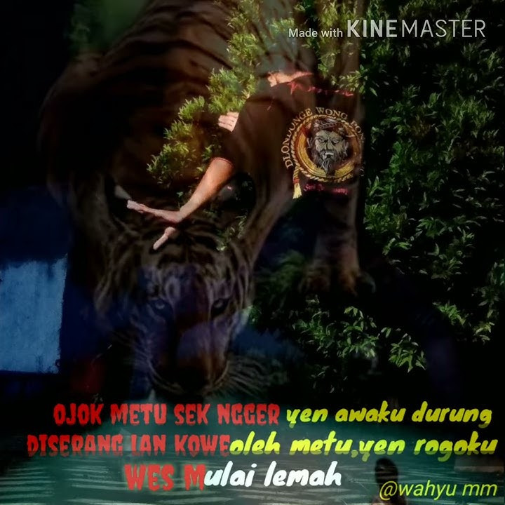 Story wa Ponorogo