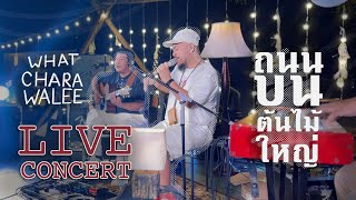 ถนนบนต้นไม้ใหญ่ - วัชราวลี [ Live Concert ] - ทุ่งนาตาลแคมป์